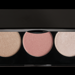 Blush Palette: Check Please